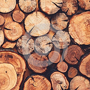 Wooden natural sawn logs closeup for background or abstraction, top view, fashion flat lay