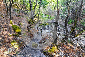 Wooden natural walking trekking path Butterflies Butterfly Valley Rhodes Greece