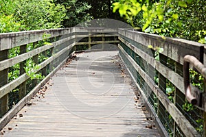 Wooden nature trail bridge in forest