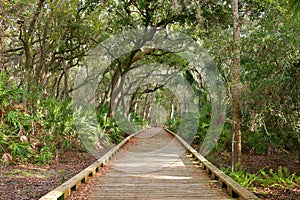 Wooden Nature Trail Bridge