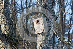 wooden nest for birds in a tree