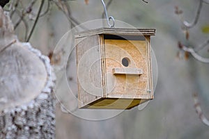 Wooden nest in a tree