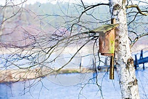 Wooden nesting box bird house on the tree outdoor. Winter.