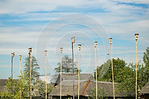 Wooden nesting boxes birdhouses on the blue sky bird`s hostel. A lot of bird houses on one tree.Community concept.Living space