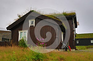 Wooden Norwegian grass roof house in the rain