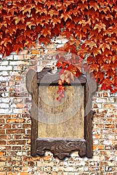 Wooden notice board against a brick wall covered in ivy