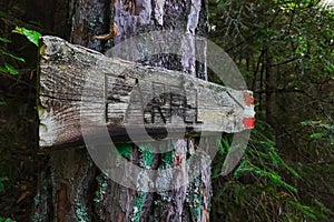 wooden notice board with direction at a tree while hiking