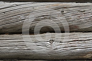 Wooden oak texture close-up photo, Old tree texture, Dry skin crack, burl