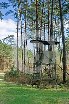 A wooden observation or hunting tower in the forest