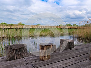 Wooden observatory of swamp environment in national park Kopacki Rit in continental Croatia