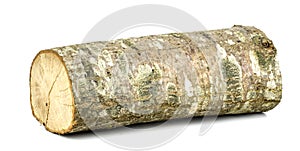 Wooden obsolete log.  Isolated on a white