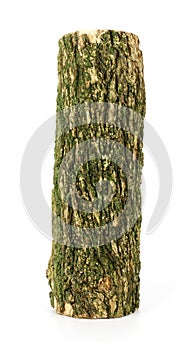 Wooden obsolete log. Top view. Isolated on a white.