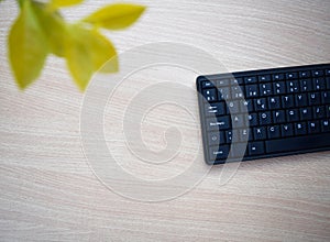 Wooden office table with laptop keyboard and plant