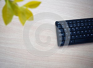 Wooden office table with laptop keyboard and plant photo