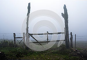 A Wooden and Old Farm Gate