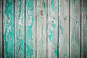 Wooden old fence with peeling paint. From vertical boards of turquoise color. With dark vignette aroun