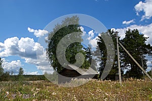 Wooden old house in the Russian village in the summer day.