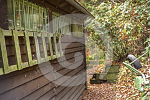 Wooden, old house in the woods in autumn scenery, shelter in the woods.