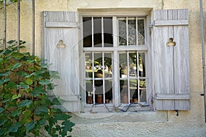 Wooden old window next to a climbing plant