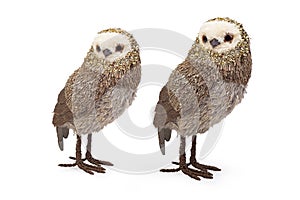 Wooden Owl Christmas decoration isolated on white background, Clipping path included