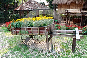 wooden oxcart with flowers