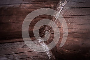 Wooden painted rustic wall of new logs for background. Toned