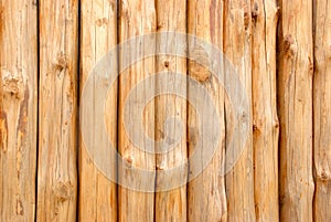 Wooden paling photo