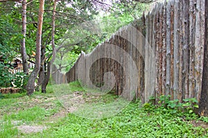 Wooden palings in the forest.