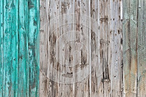 Wooden Palisade background. Close up of grey and green wood old fence panels texture