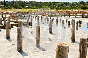 Wooden palisade made of logs old foundations for a bridge