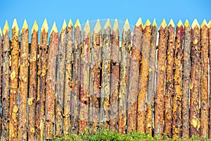 A wooden palisade made of logs sharpened on a sharp