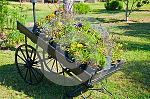 Wooden pallet truck as garden decor