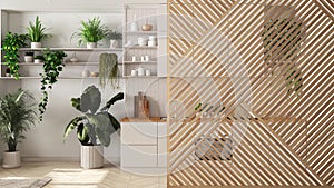 Wooden panel close-up, over minimal white kitchen kitchen with appliances and houseplants. Zen interior design concept idea, urban