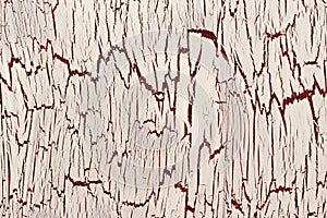 Wooden panel with cracked paint, white and brown craquelure