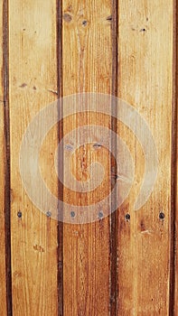 Wooden panel with rusty nails - texture photo