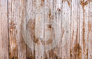 Wooden pannels background texture