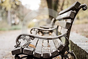 Wooden Park bench in the autumn.