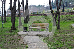 A wooden park bench sitting in the grass