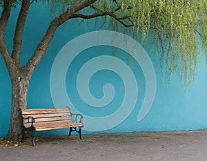 Blue Wall Tree Park Bench Outdoors