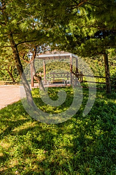 Wooden park benches and gazebo in treed rural park