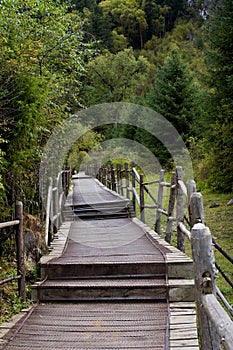 Wooden path