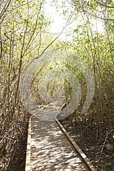 Di legno la strada 