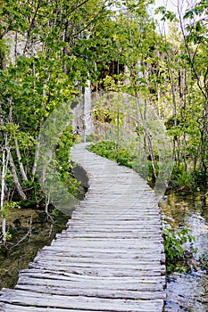 Wooden path