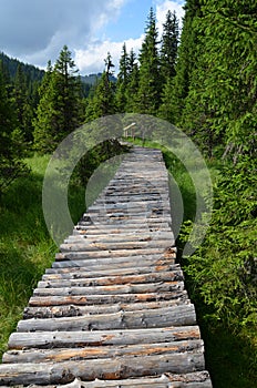 Wooden path