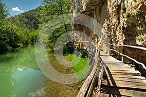 Wooden path along the river