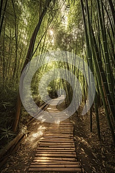 Wooden path through the bamboo forest, Generative AI