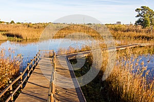 Wooden path in a bird observatory, in the wetlands natural park La Marjal in Pego and Oliva