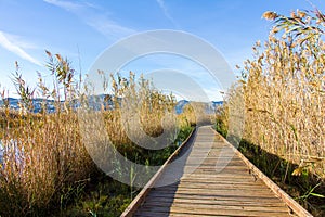 Wooden path in a bird observatory, in the wetlands natural park La Marjal in Pego and Oliva