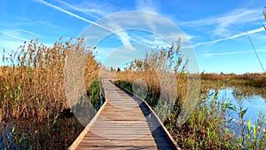 Wooden path in a bird observatory, in the wetlands natural park La Marjal in Pego and Oliva