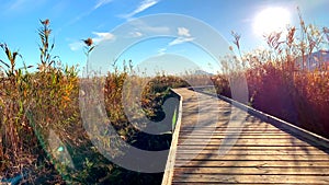 Wooden path in a bird observatory, in the wetlands natural park La Marjal in Pego and Oliva